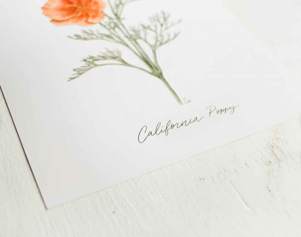 Framed 8 x 10 California Poppy