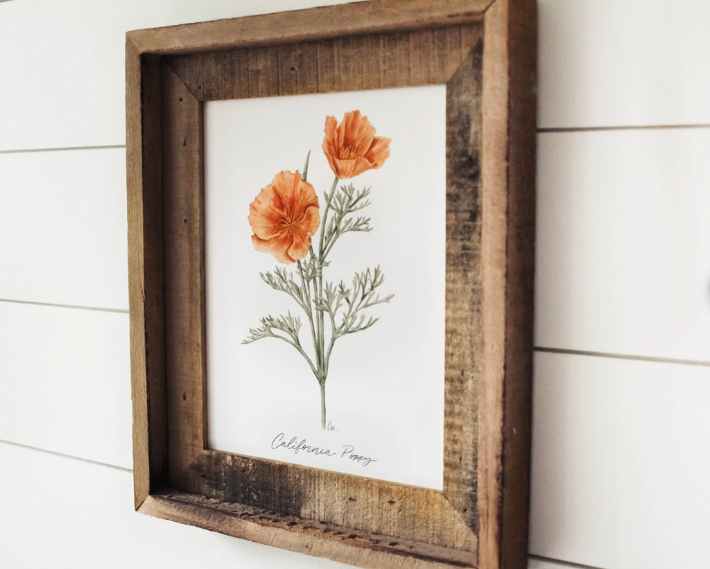 8 x 10 California Poppy Print