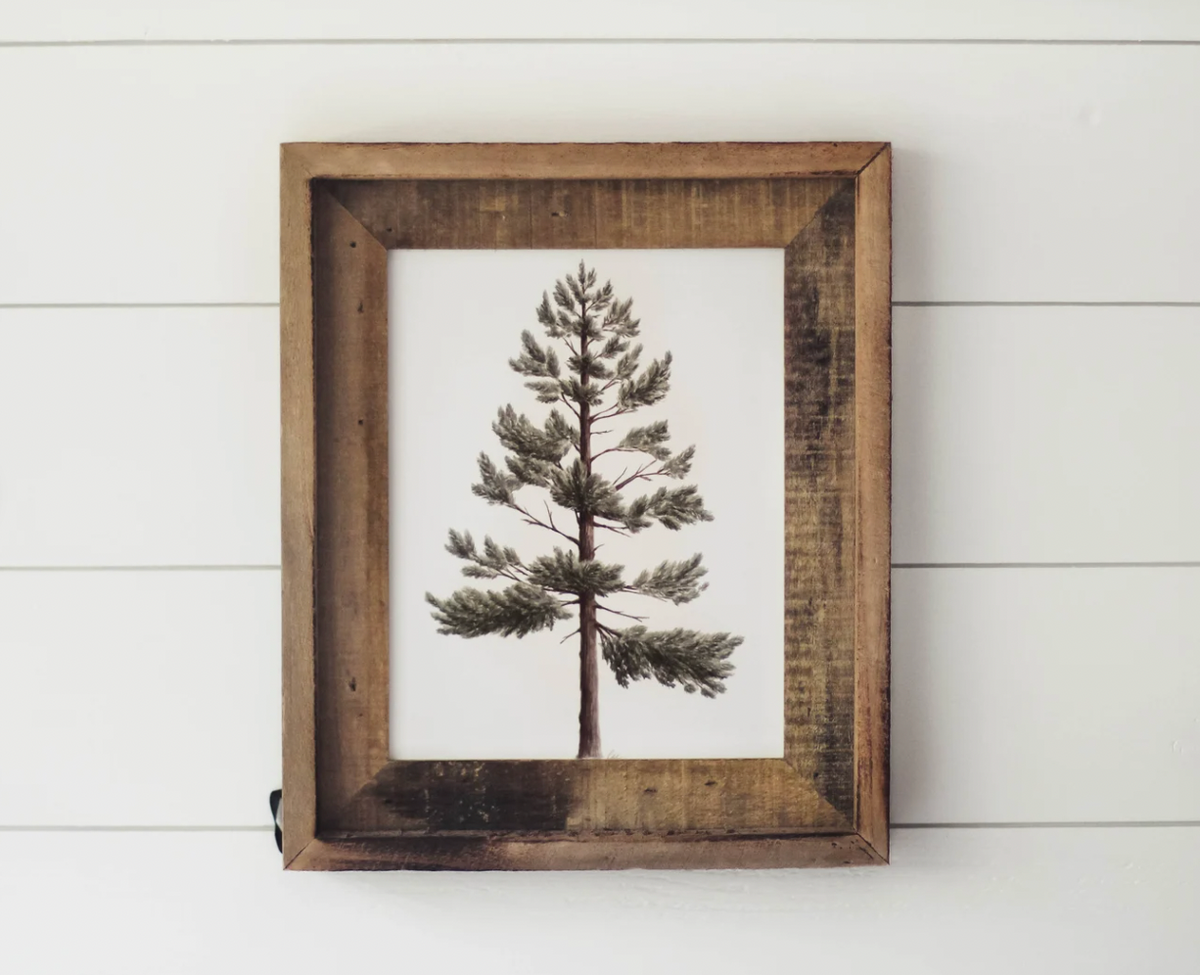 Framed 8 x 10 Lodgepole Pine Print | CA89 Home