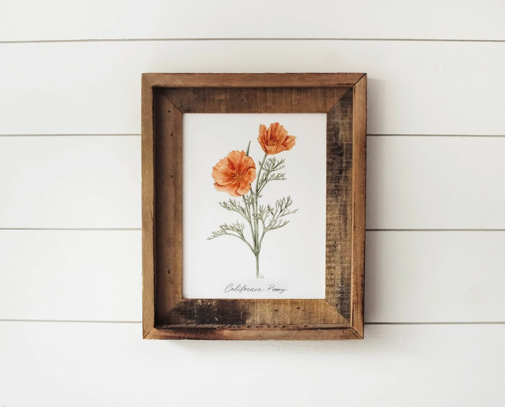 11 x 14 California Poppy Print