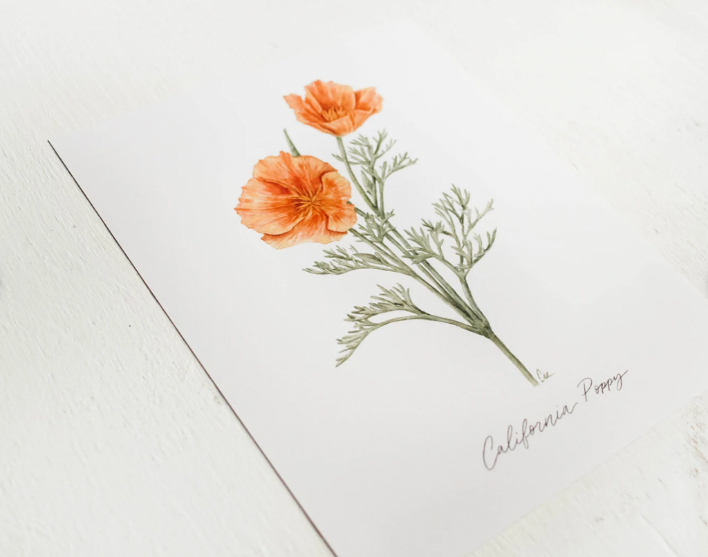 Framed 8 x 10 California Poppy