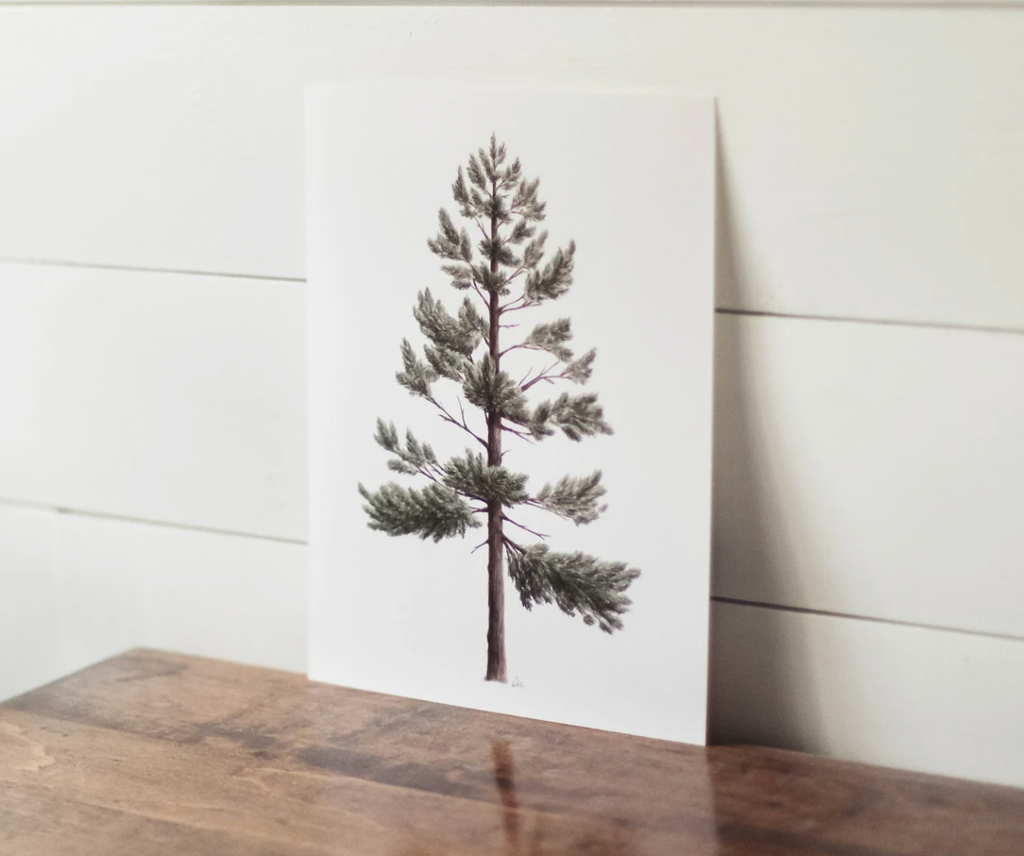 Framed 8 x 10 Lodgepole Pine Print