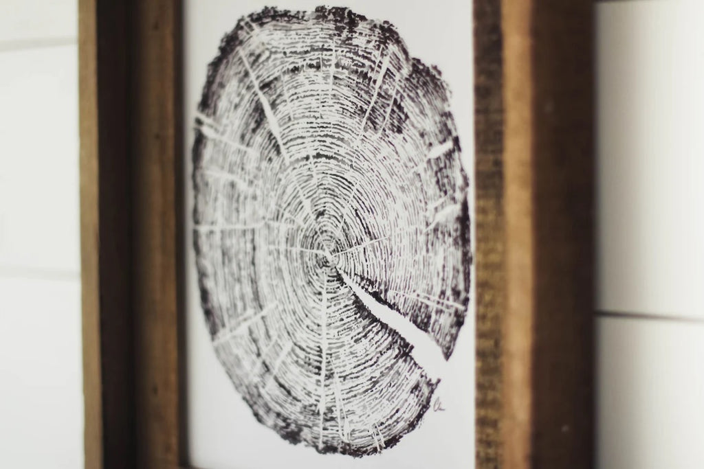 Framed 11 x 14 Tree Ring Print