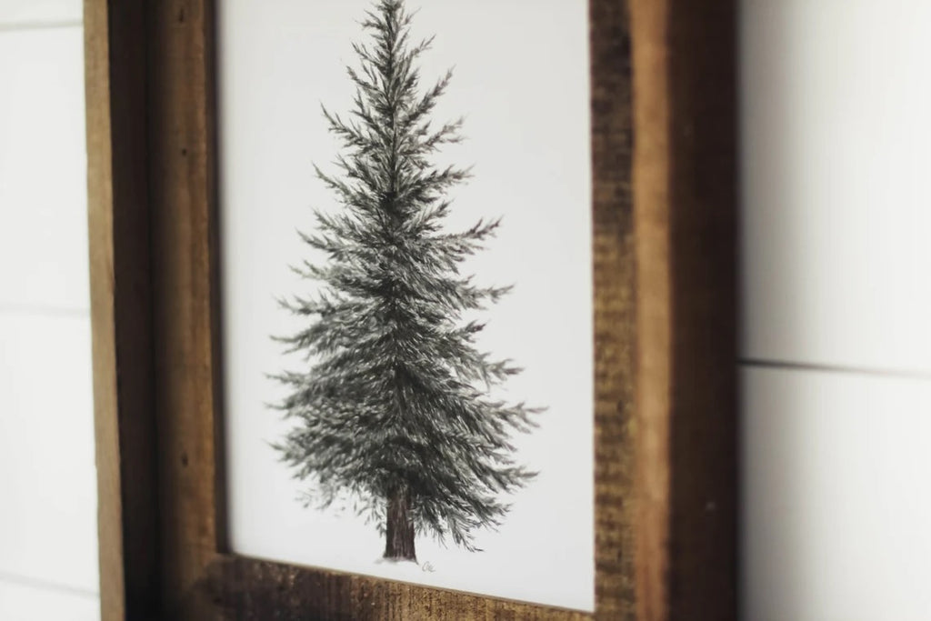 11 x 14 Evergreen Print