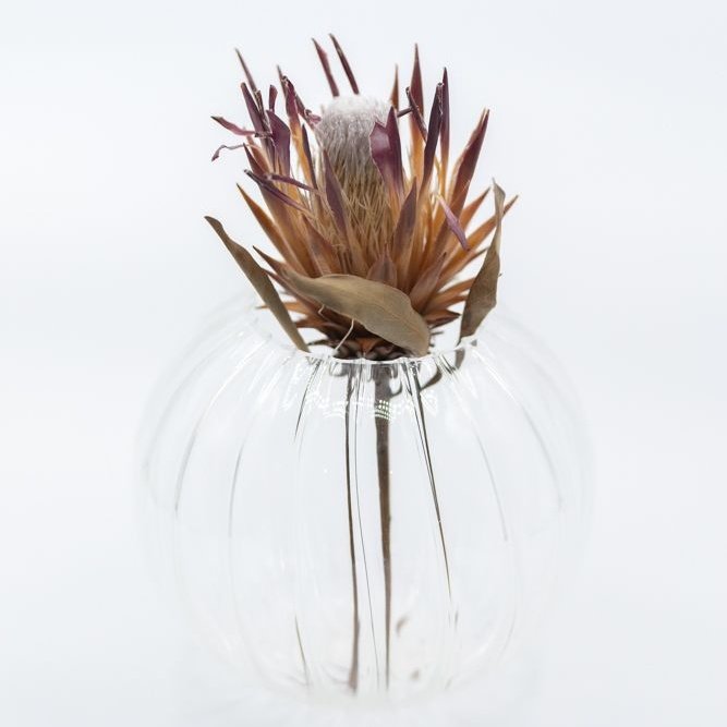 Optic Orb Vase Jumbo