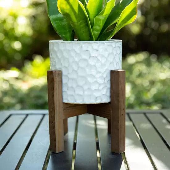 Beehive Ceramic Planter on Wood Stand