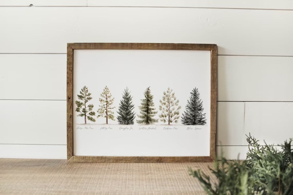 8 x 10 Collection of Evergreens Print