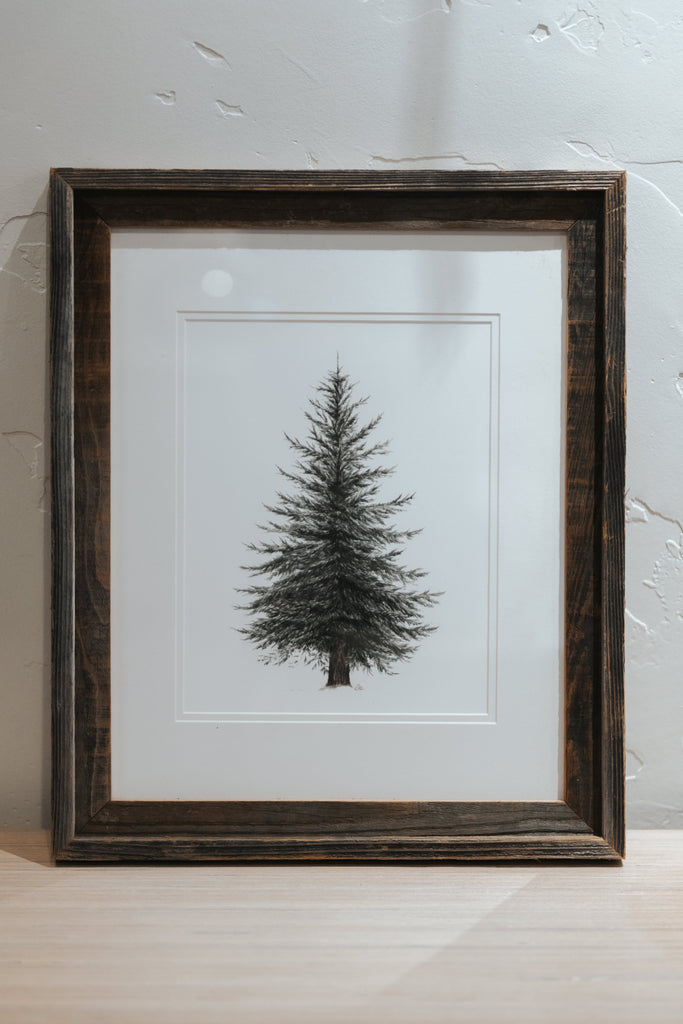 16 x 20 Evergreen Print Framed with Matte