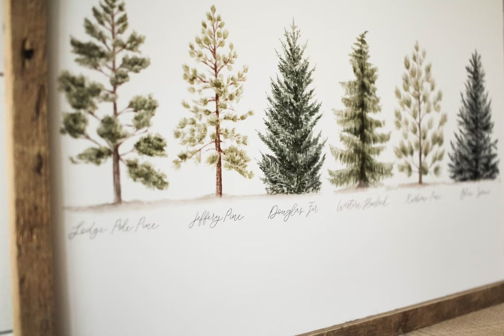 11 x 14 Collection of Evergreens Print