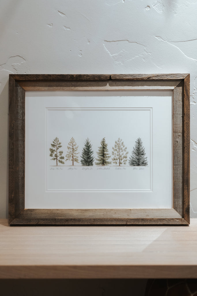 16 x 20 Collection of Evergreens Print Framed with Matte