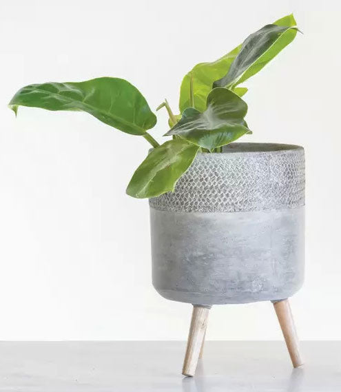 Large Cement Planter with Wooden Legs