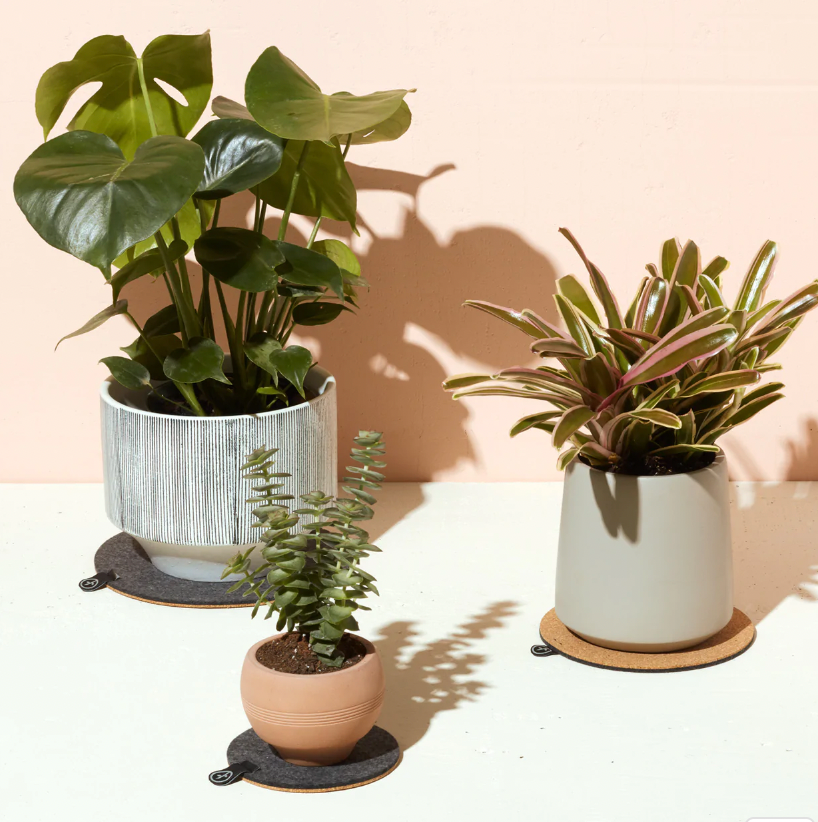 Plant Trivet Set of 3
