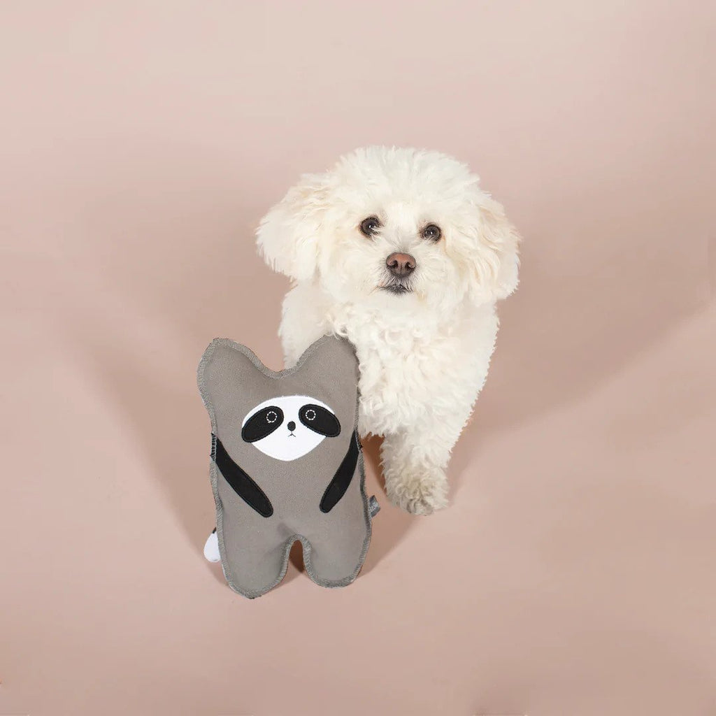 Rocky Racoon Dog Toy
