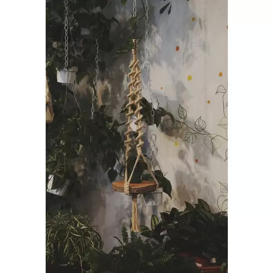 Wavy Plant Hanger