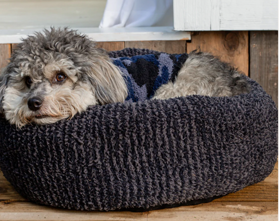 CC Pet Bed
