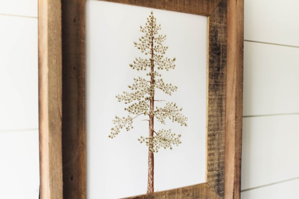 Framed 8 x 10 Jeffrey Pine Print